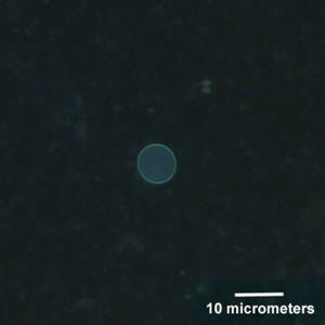 Case156_A.jpg