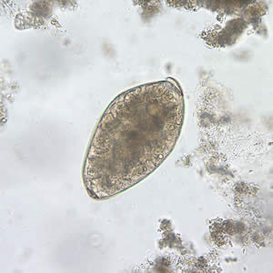 May - 2006 - Case #180
