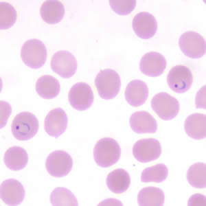 Case190_E.jpg