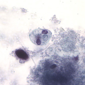Case194_D.jpg