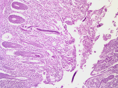 Case201_A.jpg