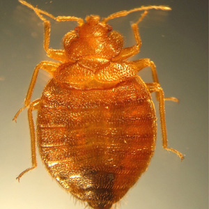 Case219_B.jpg