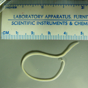 Case220_A.jpg