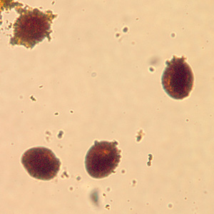 Case220_B.jpg