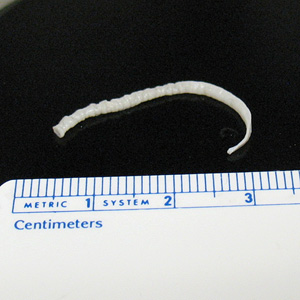 Case241_A.jpg