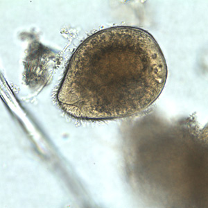 Case251_A.jpg