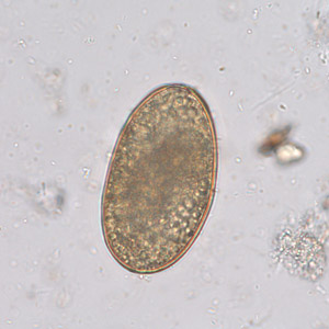 Case253_B.jpg