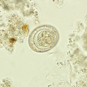 Case270_A.jpg