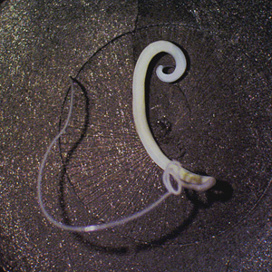 Case273_B.jpg