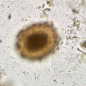 Case284_B.jpg
