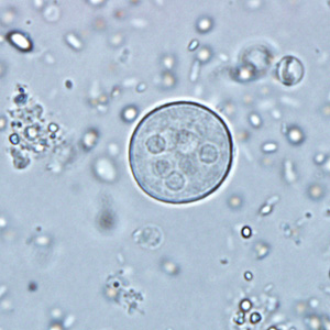 Case291_A.jpg