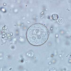 Case291_B.jpg
