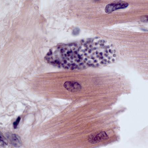 Case308_B.jpg