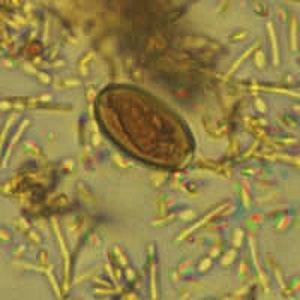 Case318_B.jpg