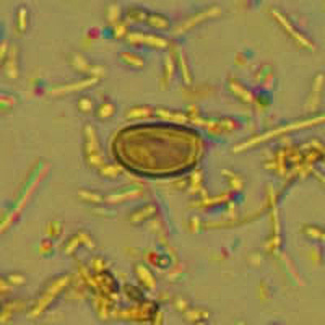 Case318_C.jpg