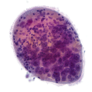 Case324_F.jpg