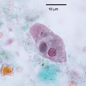 Case334_A.jpg