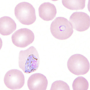 Case350_E.jpg