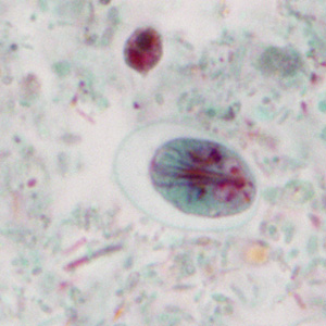 Case351_A.jpg