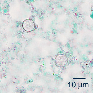 Case353_A.jpg