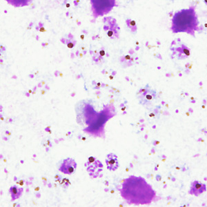 Case357_C.jpg
