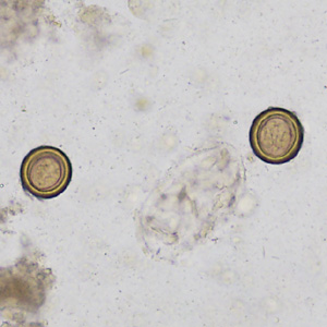 Case358_A.jpg