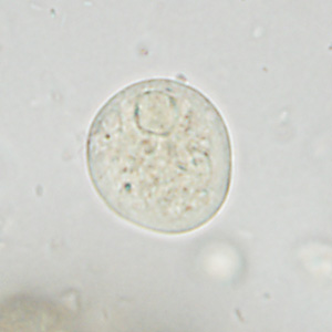 Case361_A.jpg