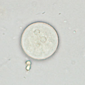 Case361_B.jpg