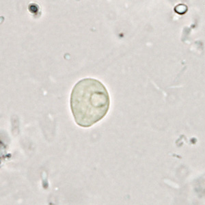 Case361_E.jpg