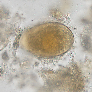 Case388_A.jpg