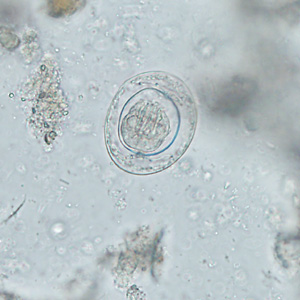 Case388_E.jpg