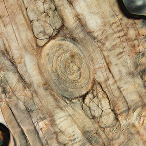 Case389_A.jpg