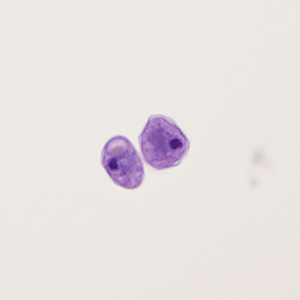 Case405_D.jpg