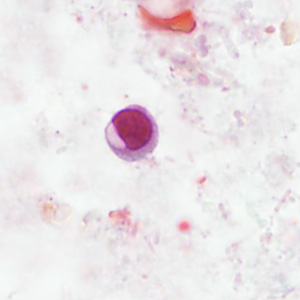 Case406_C.jpg