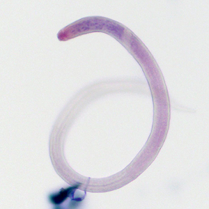 Case407_D.jpg