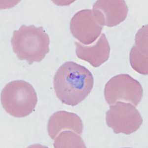 Case410_E.jpg