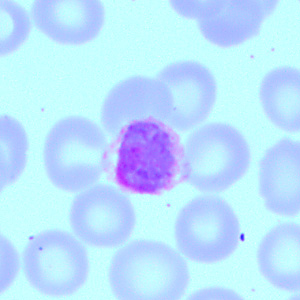 Case418_C.jpg