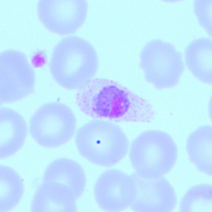 Case418_D.jpg