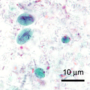 Case419_A.jpg