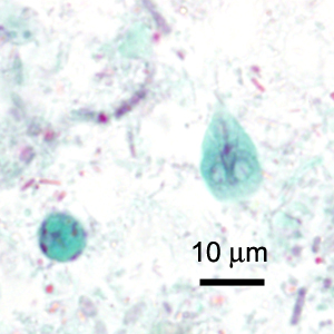 Case419_B.jpg