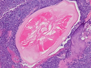 Case_511_C Figure C