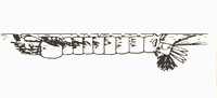 anopheles_larva_graph_200w Anopheles Larva