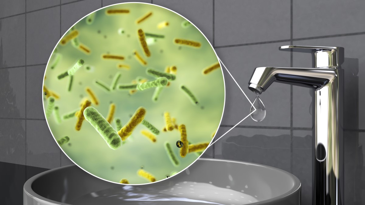 Tap water contaminated with germs Sink faucet with a drop of water coming out. An inset shows there are germs in the drop of water.