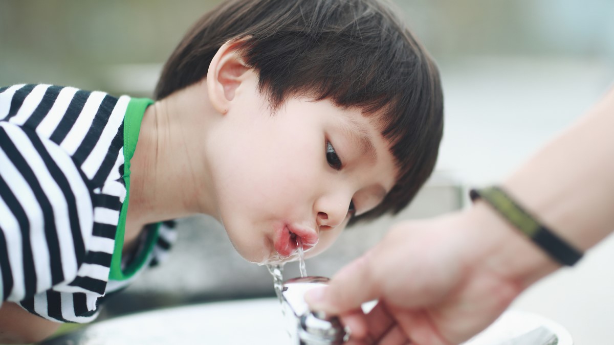 Drinking from a water fountain Child drinking water from a drinking water fountain