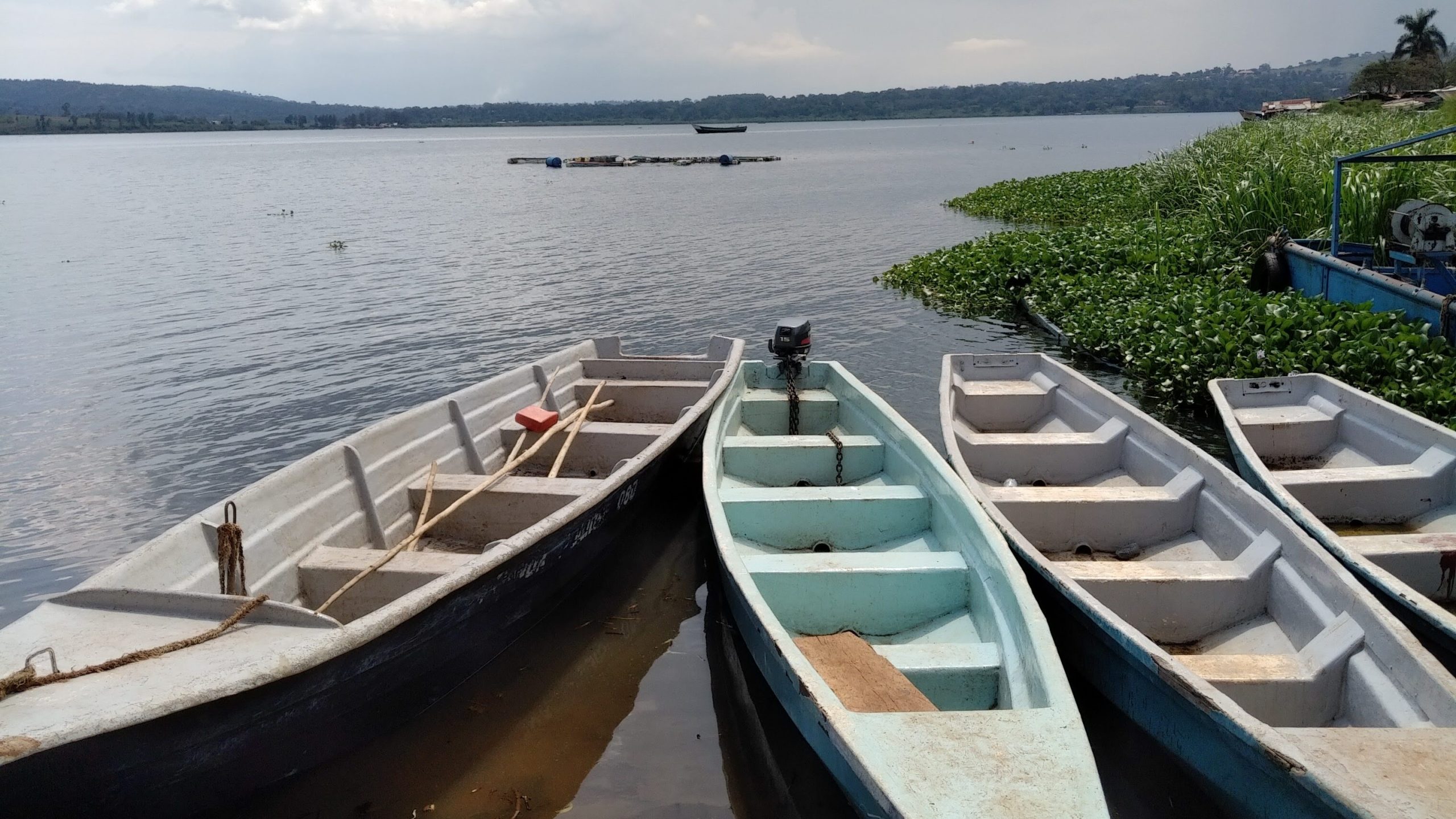 — title missing — Boats on Lake Victoria