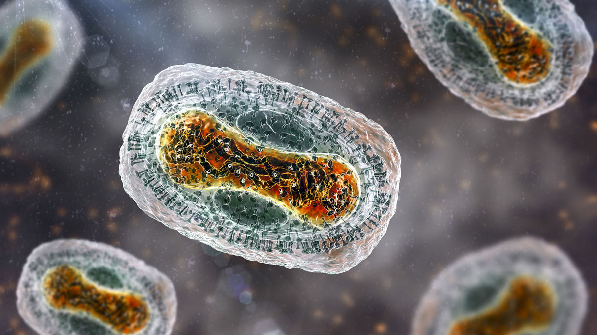 Mpox Monkeypox virus, 3D illustration. A zoonotic virus from Poxviridae family, causes monkeypox, a pox-like disease