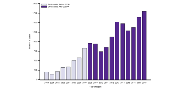 Ehrlichiosiscases600x300 Ehrlichiosis cases graph