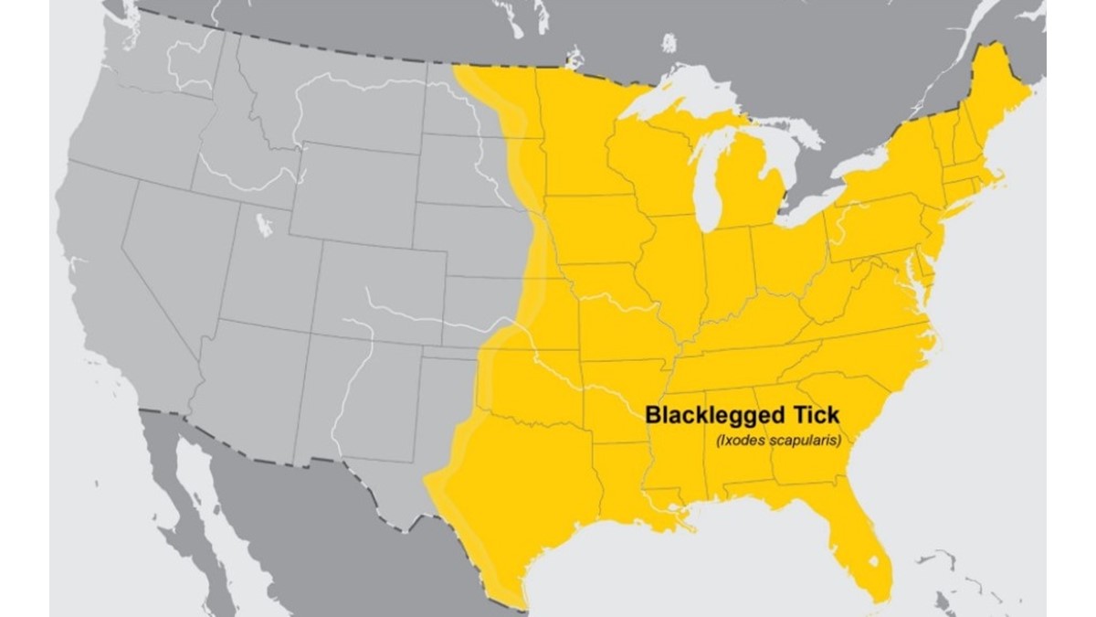 — title missing — Map of the United States highlighting the distribution of blacklegged ticks.