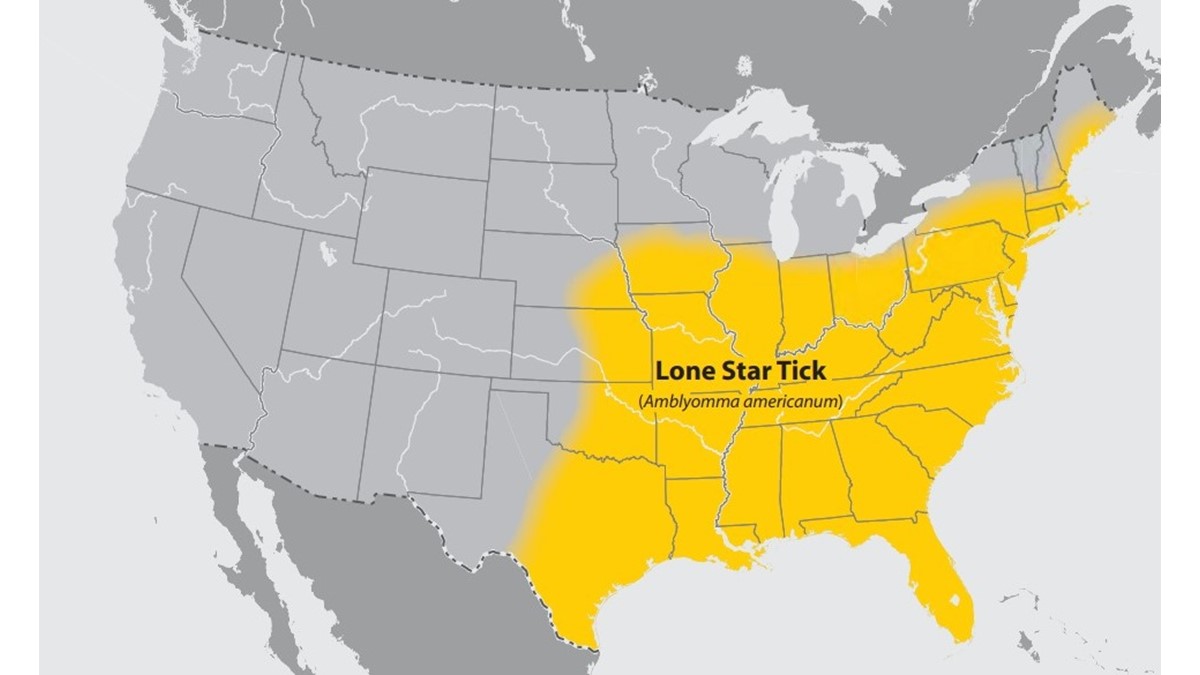 — title missing — A map of the United States with regions with the lone star tick highlighted.