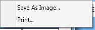 F1002-save-as-image-print-menu StatCalc context menu showing Save As and Print menu items.